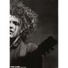 Robert Smith Import Poster