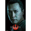 Rogue One Chirrut Domestic Poster