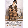 A Dog's Life Domestic Poster