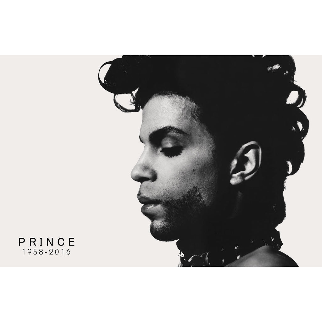 Prince Profile Domestic Poster