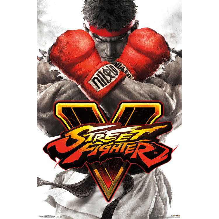 Street Fighter Key Art Domestic Poster