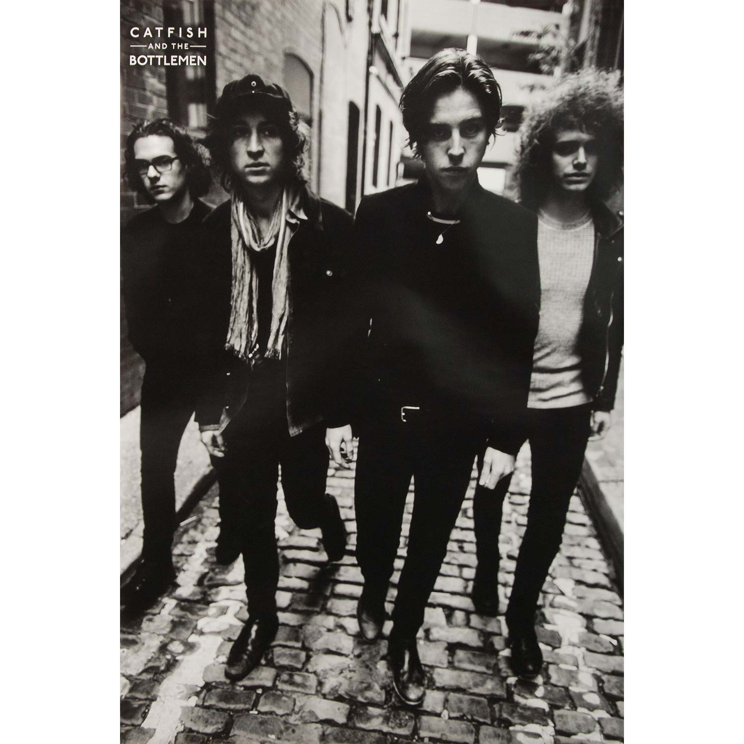 Catfish And The Bottlemen Band Domestic Poster