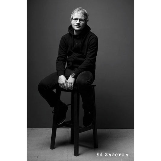 Ed Sheeran B & W Domestic Poster