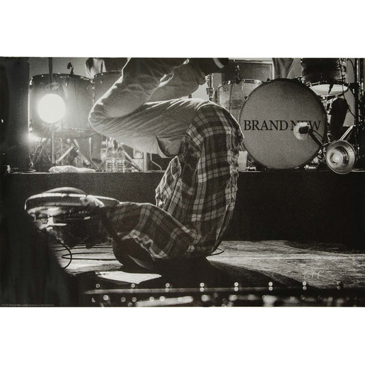 Upside Down Domestic Poster