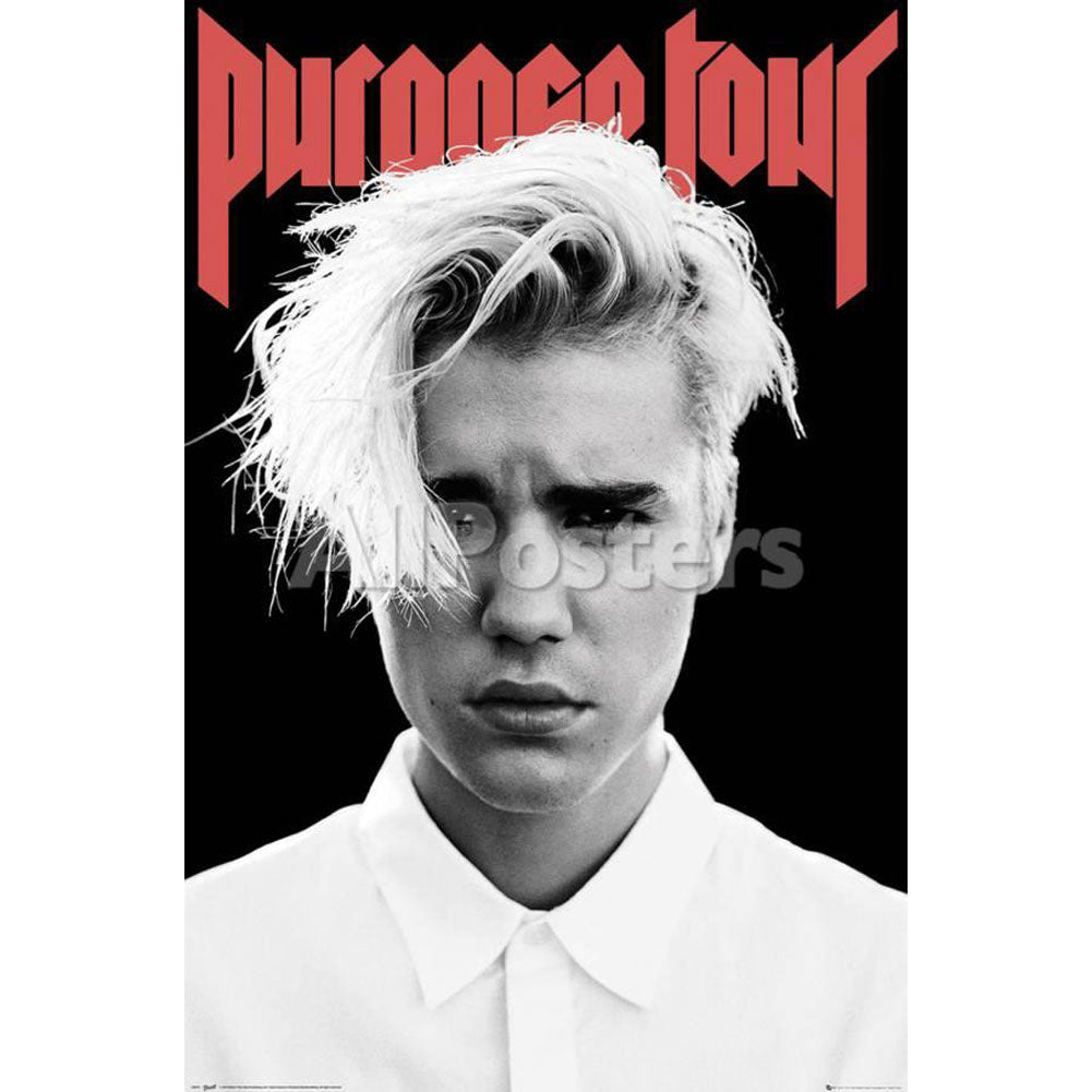 Justin Bieber Purpose Tour Domestic Poster