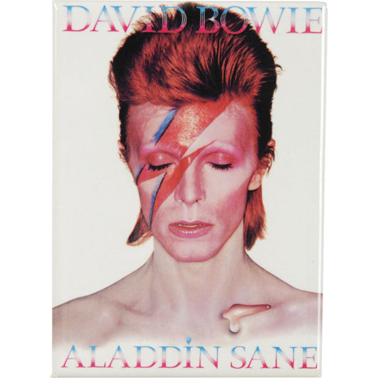 Aladdin Sane Magnet