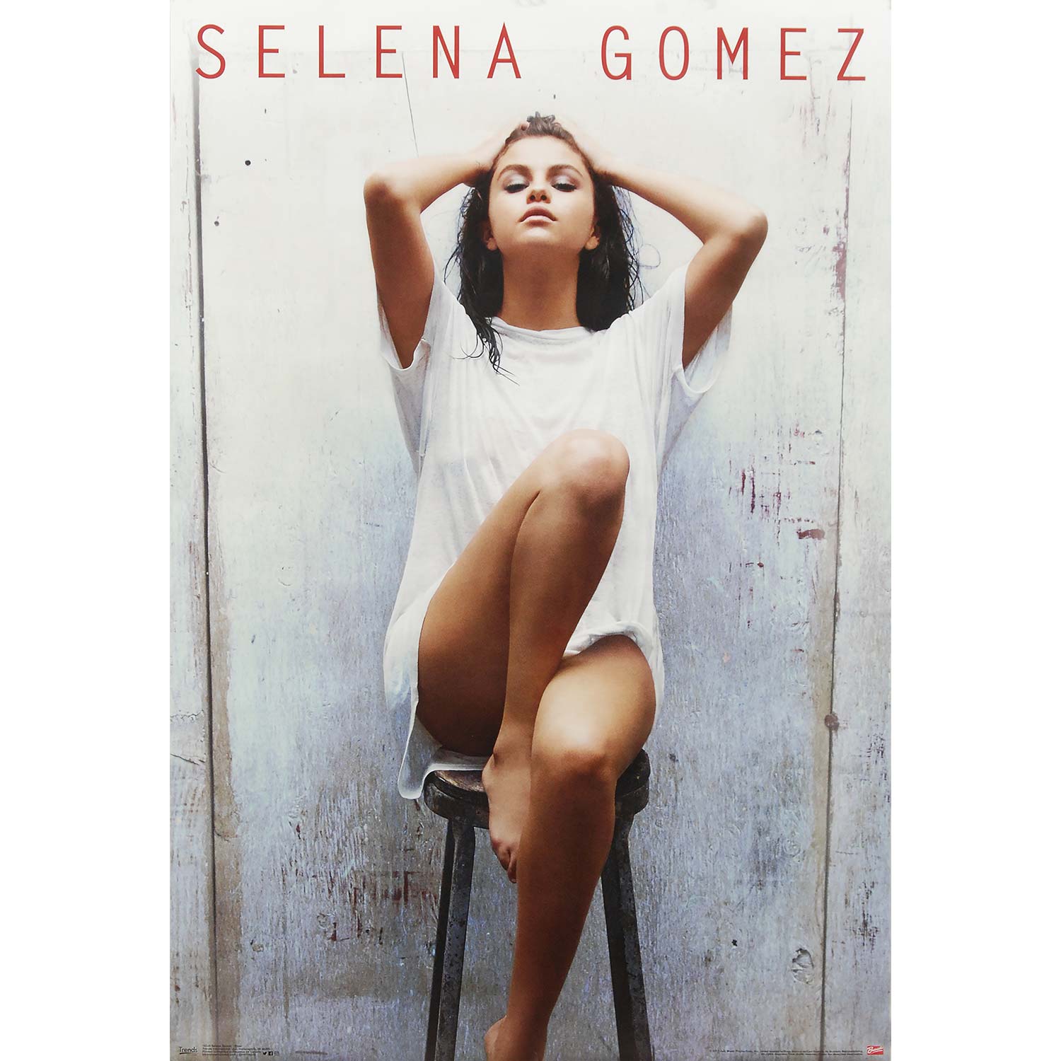 Selena Gomez Stool Domestic Poster