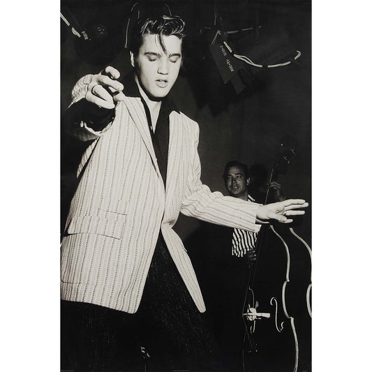 Elvis Presley B & G Elvis Import Poster