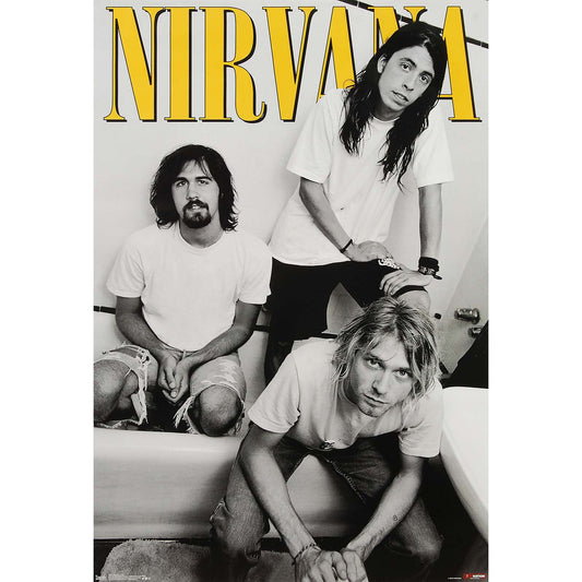 Nirvana Trio Domestic Poster