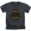 Batman Crest Juvenile Childrens T-shirt