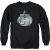 Tng 30 Logo Adult Sweatshirt