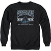 Starfleet Academy Earth Adult Sweatshirt