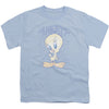 Tweety Fade Youth T-shirt