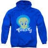 Tweety Swirl Adult 25% Poly Hooded Sweatshirt