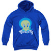 Tweety Swirl Youth 50% Poly Hooded Sweatshirt