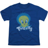 Tweety Swirl Youth T-shirt