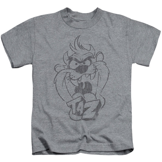 Looney Tunes Faded Taz Juvenile Childrens T-shirt