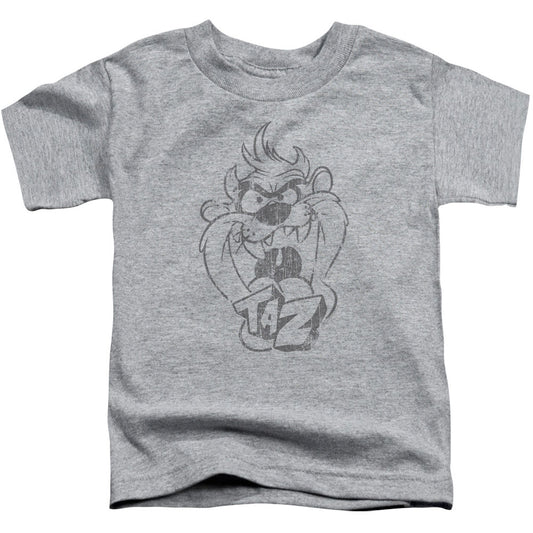 Looney Tunes Faded Taz Toddler Childrens T-shirt