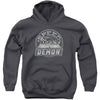 Speed Demon Youth 50% Poly Hooded Sweatshirt