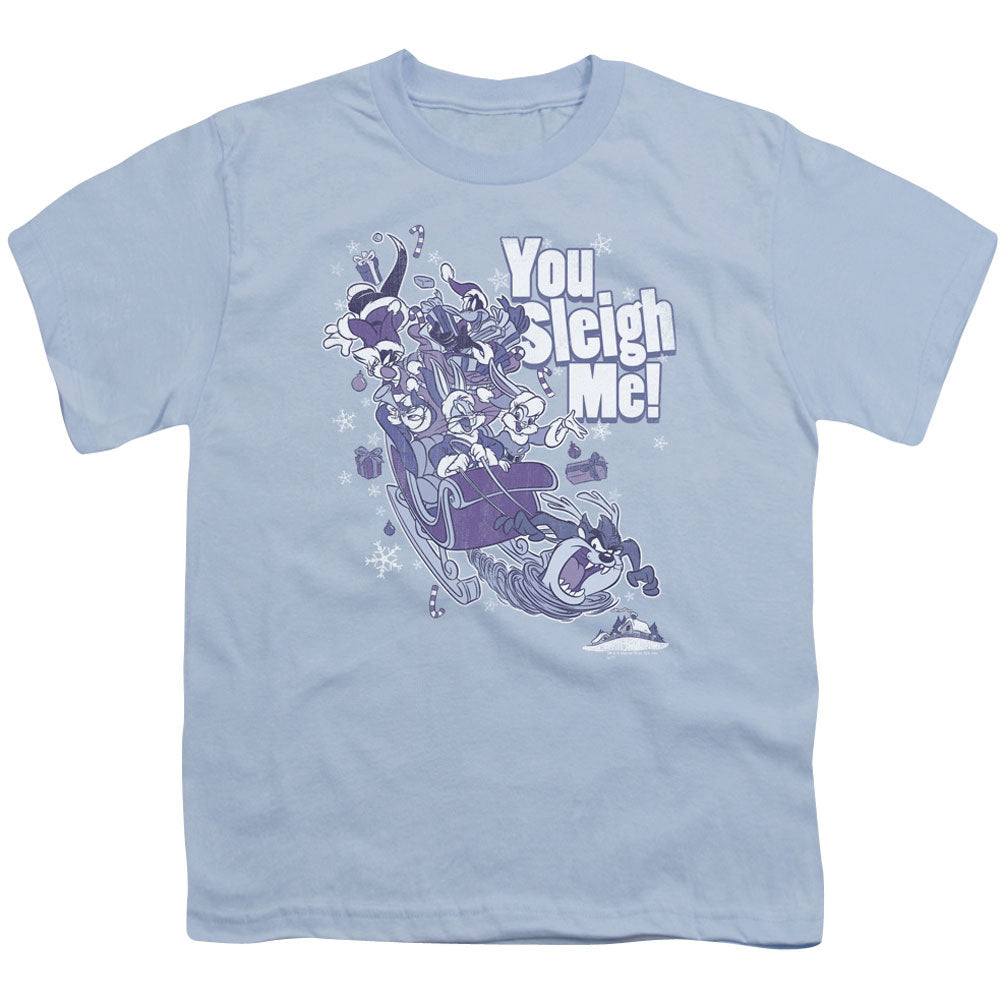 Looney Tunes You Sleigh Me Youth T-shirt