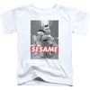 Sesame Toddler Childrens T-shirt