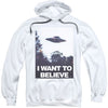 Believe Poster Adult 25% Poly Hooded Sweatshirt