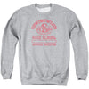 Springwood High Adult Sweatshirt