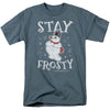 Stay Frosty Adult T-shirt