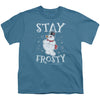 Stay Frosty Youth T-shirt