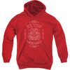 Texicali Demon Youth 50% Poly Hooded Sweatshirt