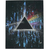 Darkside Of The Moon 11in x 14in Canvas Art
