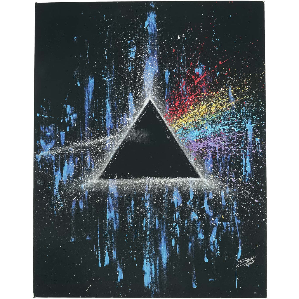 Pink Floyd Darkside Of The Moon 11in x 14in Canvas Art