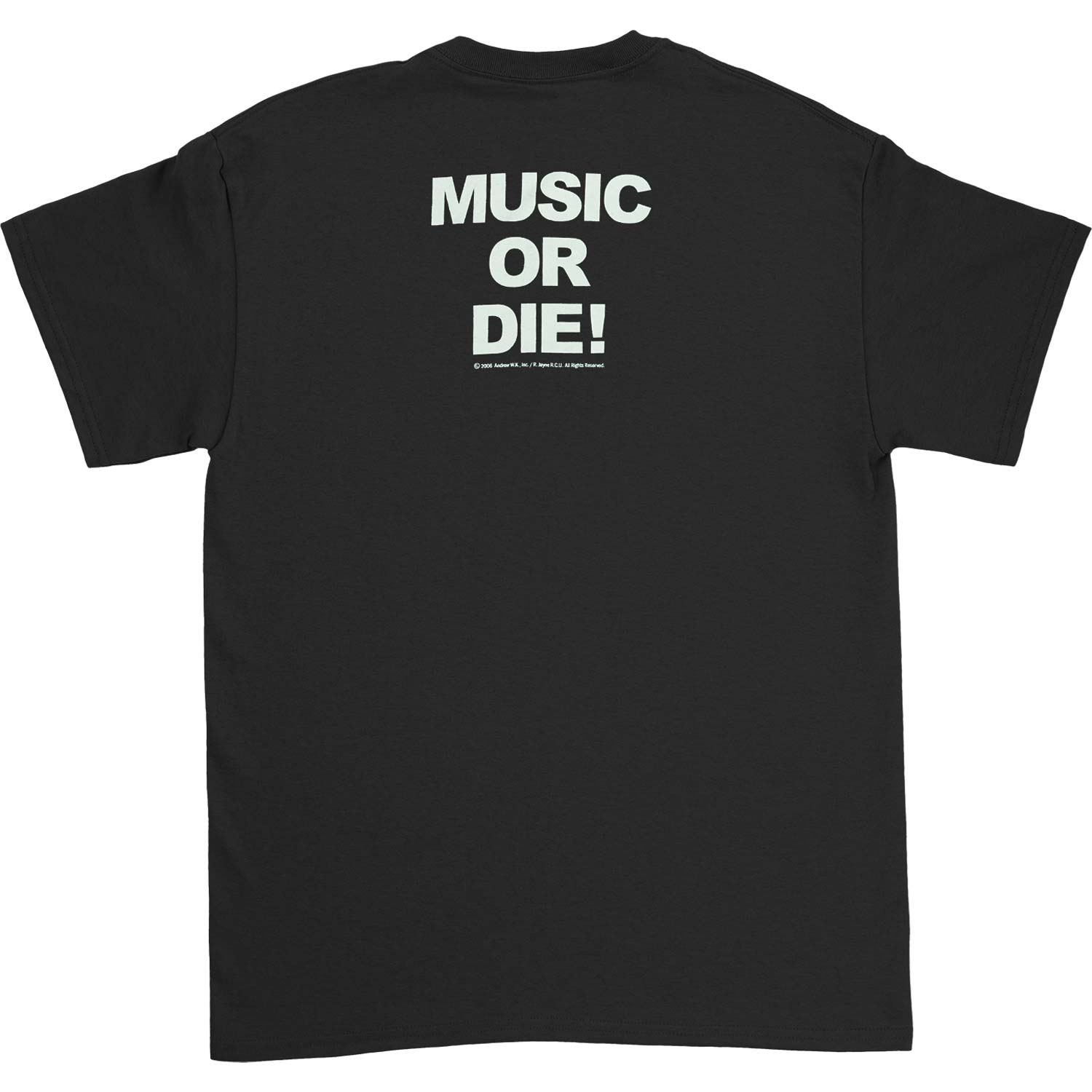 稀少 00s Andrew W.K. Tシャツ Mサイズ バンドT ロックT 黒 Andrew W.K. T-shirt | Andrew W.K. Merch Store