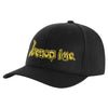 Embroidered Gold Logo Flexfit Hat Baseball Cap