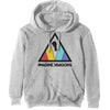Triangle Logo Hooded Sweatshirt