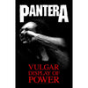 Vulgar Display Of Power Poster Flag