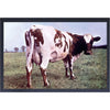 Atom Heart Mother Framed Wall Art