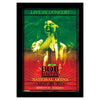 Concert Framed Wall Art