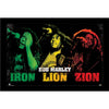 Iron Lion Zion Framed Wall Art