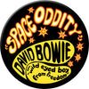 Space Oddity Magnet