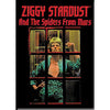 Ziggy Window Magnet