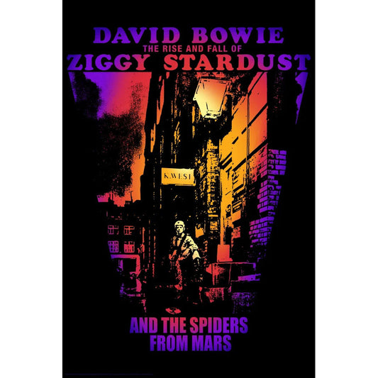 David Bowie BD Collection - Ziggy Stardust Cover Domestic Poster