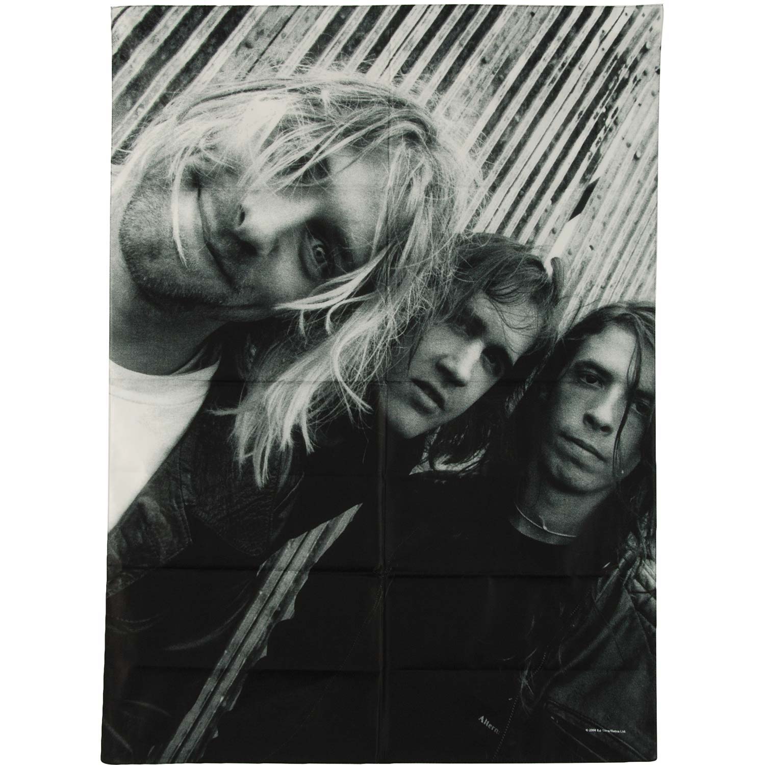 Band Shot Poster Flag