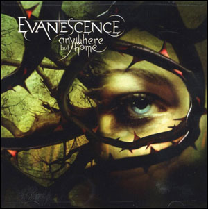 Evanescence DVD