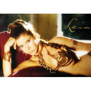 Star Wars Princess Leia Domestic Poster