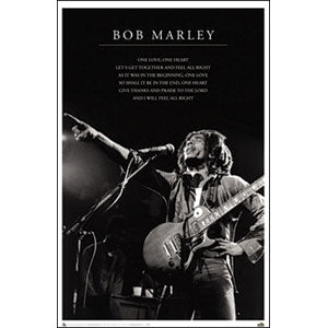 Bob Marley Domestic Poster