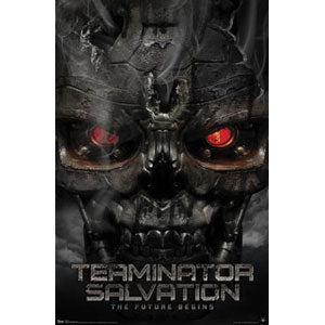 Terminator Domestic Poster