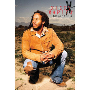 Ziggy Marley Domestic Poster