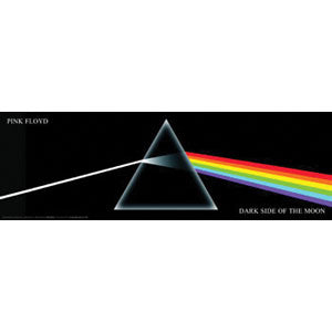 Pink Floyd Dark Side Of The Moon Slim Print Poster