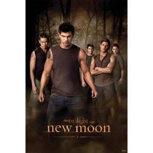 Twilight Domestic Poster